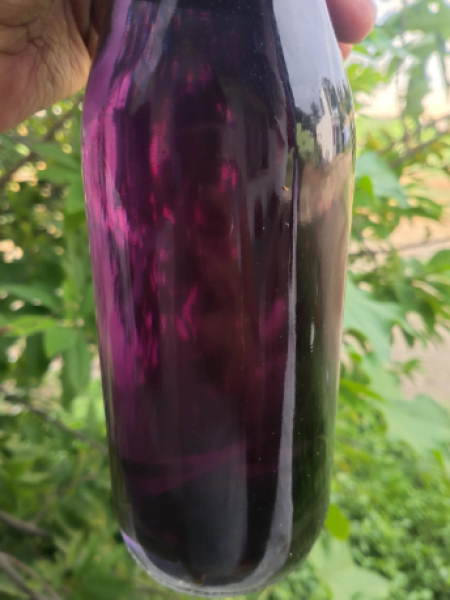 Vetpalai Oil