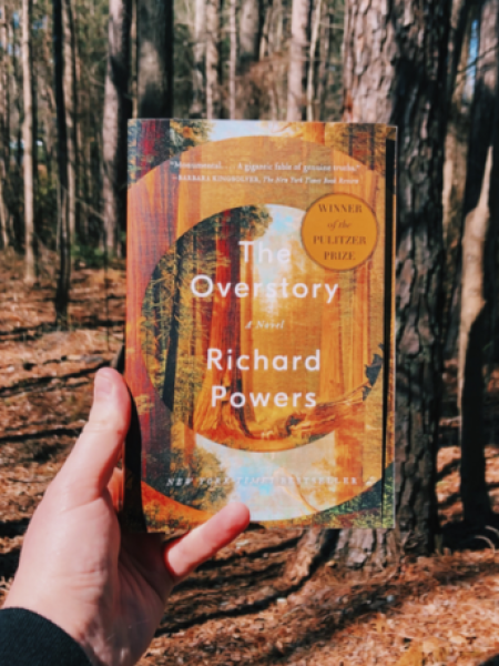 The overstory