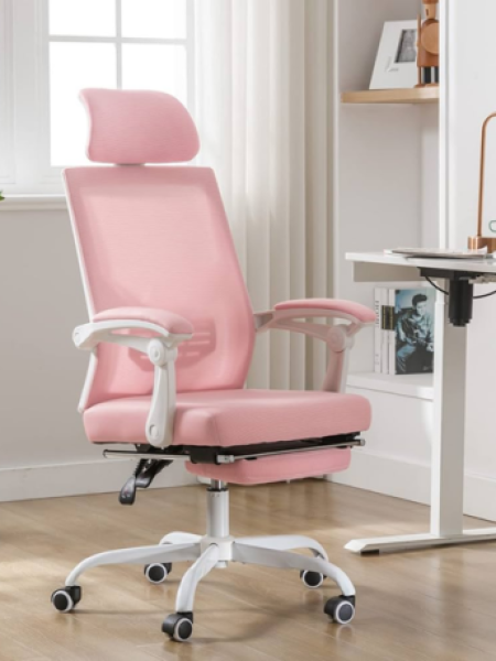 Ergonomic Desk Chair